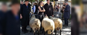 Unsere bayrischen Züchter bei der Preisverleihung des Landesverband Bayrischer Schafhalter e.V.