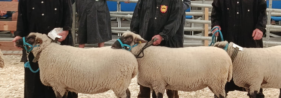 Ein züchterischer Erfolg im Süden der Republik